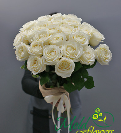 25 Белых голландских роз 60-70 см Фото 394x433